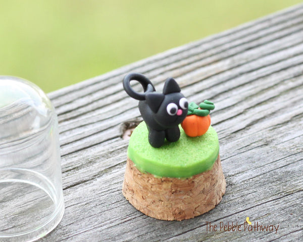 Black cat and tiny pumpkin in tiny cloche