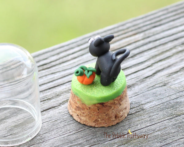 Black cat and tiny pumpkin in tiny cloche