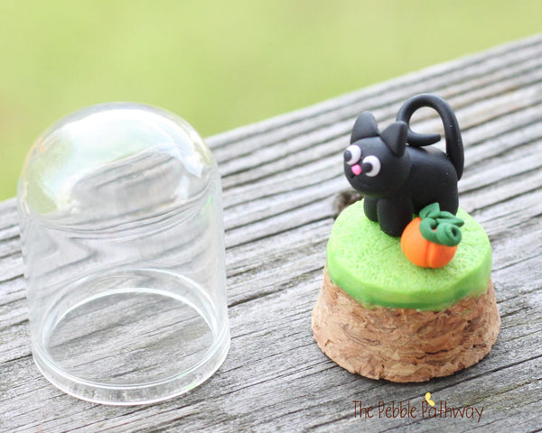 Black cat and tiny pumpkin in tiny cloche